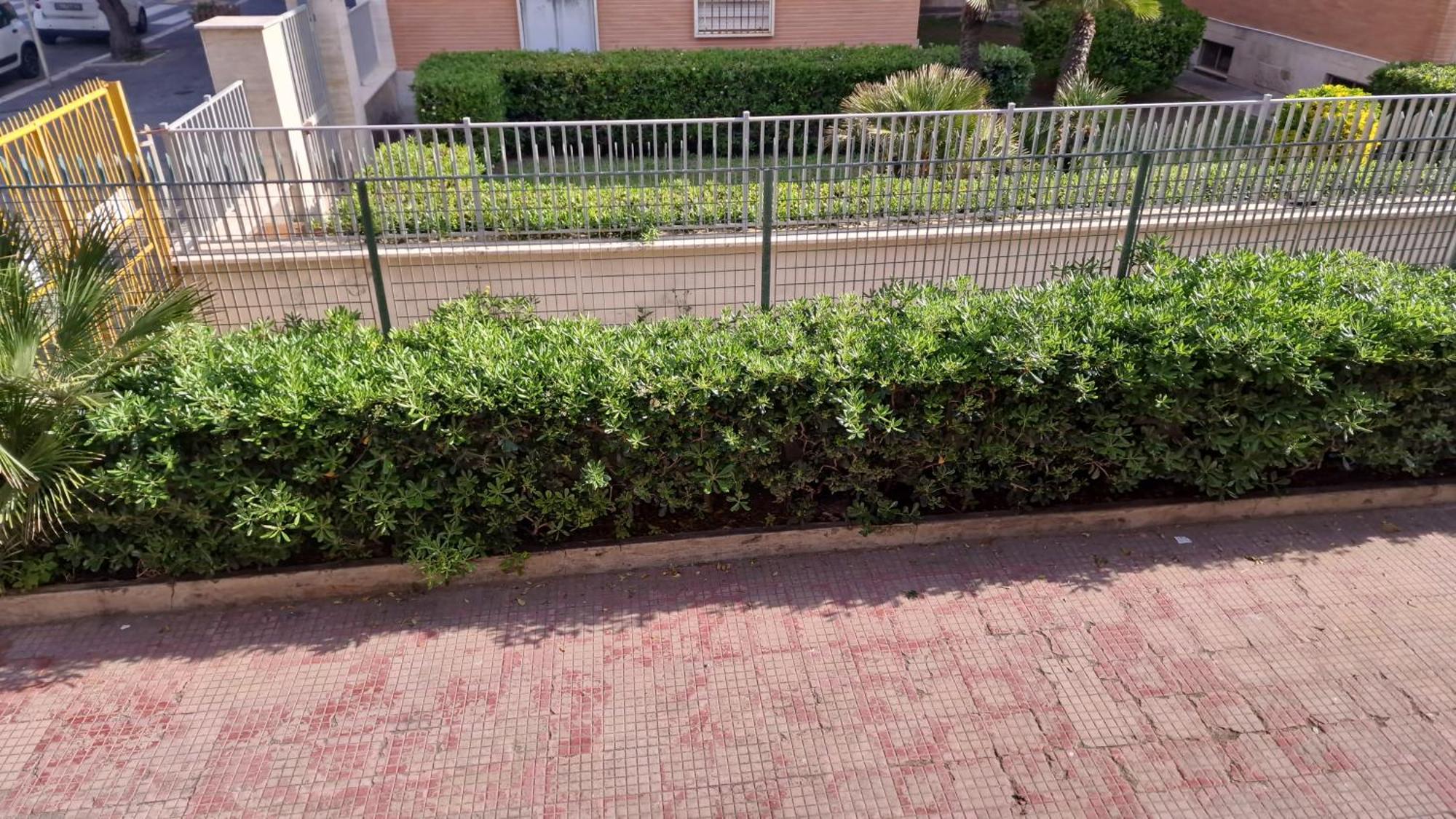La Marina Di Ostia Lido di Ostia Exterior foto